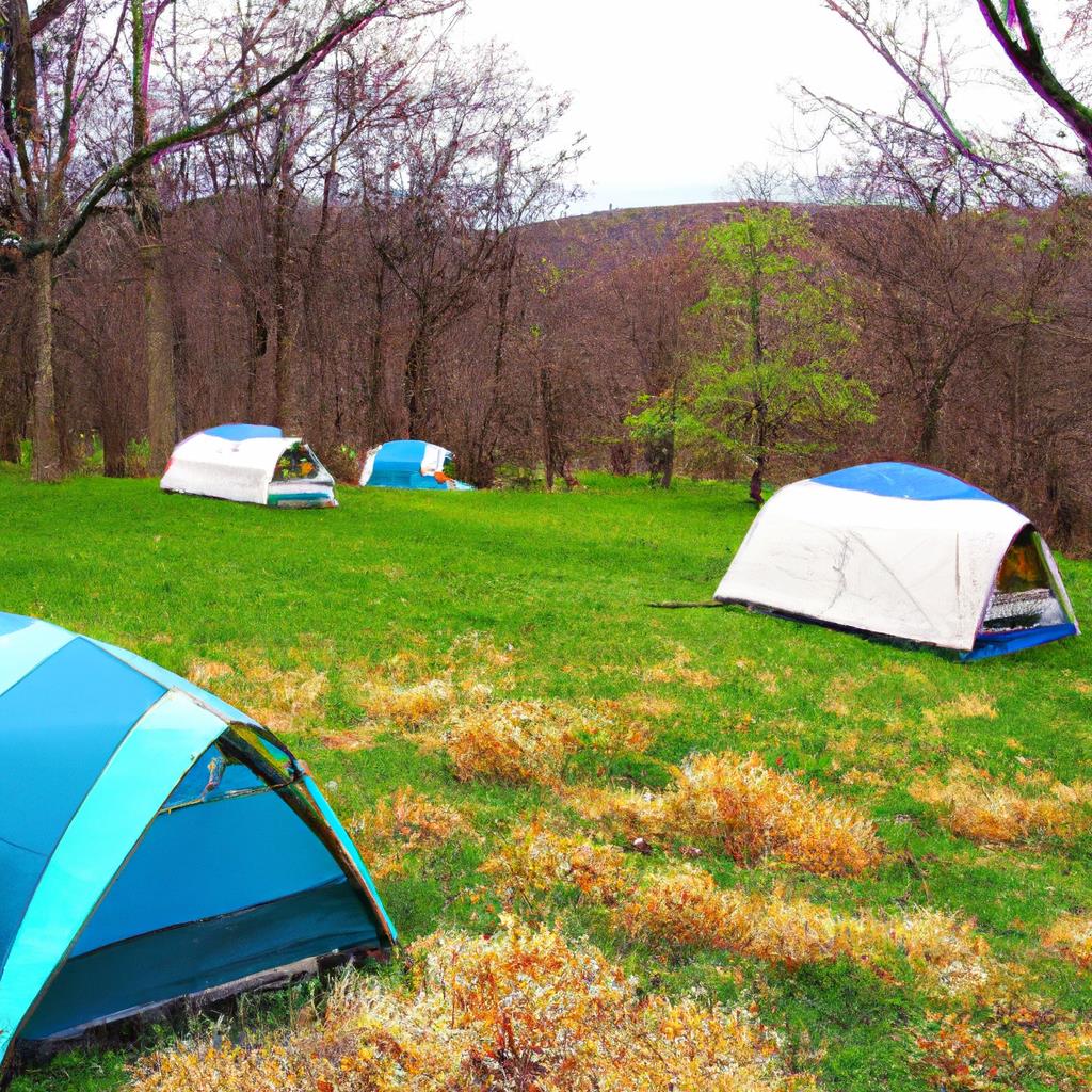 tenting, camping, Shenandoah National Park, outdoors, nature